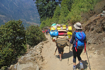 The adult sherpa porter carrying heavy boxes - sacks and female hiker in the Himalayas at Everest Base Camp trek