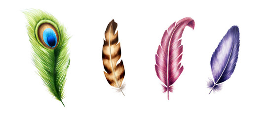 Hand drawn marker set of feathers in watercolor style. Realistic peacock illustration isolated on white background. Clip art for designers, cards, invitations, textile, poster, wedding, scrapbooking