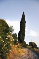 landscape in the mountains