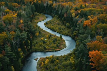 Winding river through autumn forest viewed from above.