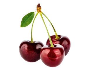 Delicious cherries - isolated