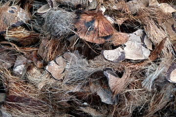 Dried coconut shells and dried coconut husks. local people use dried coconut shells to make charcoal