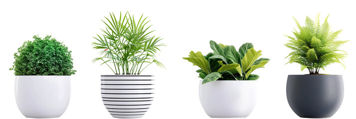 Four different flower pots with houseplants on transparent background, PNG - obrazy, fototapety, plakaty