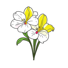 Hand drawn alstroemeria illustration. South American flower vector.AI GENERATED