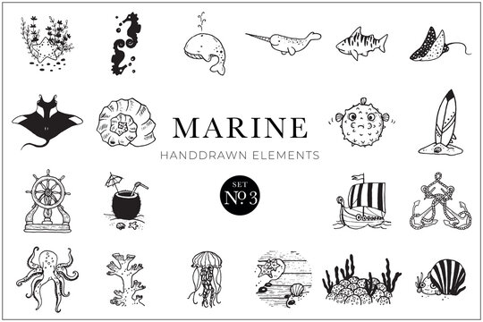 Marine elements collection, sea drawings, ocean, illustrations, doodles, tattoo, handdrawn, set, pack