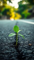 Resilient Plant Thriving Against All Odds in