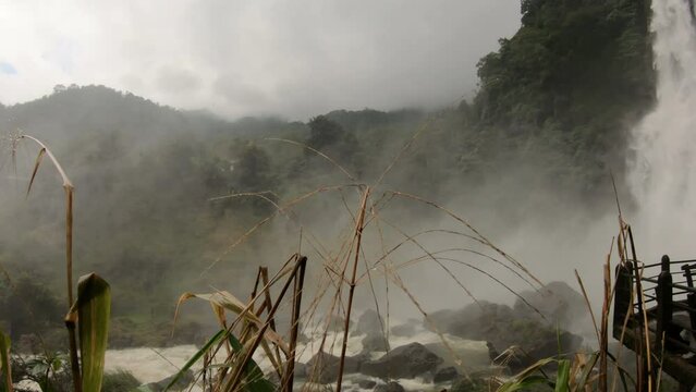 Waterfall in the jungle, panoramic - Aberdeen, Sri Lanka 4K