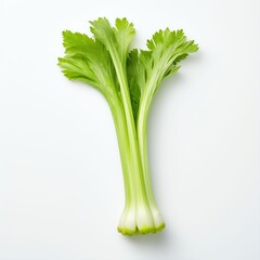 Photograph of celery, top down view, wite background