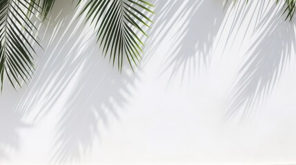 Light and shadow of leaves, palm leaves on a white background. Abstract tropical leaf silhouette, natural pattern for wallpaper, spring, summer texture. - obrazy, fototapety, plakaty