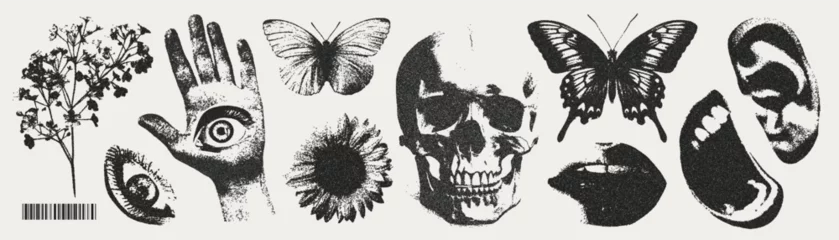 Photo sur Plexiglas Papillons en grunge Trendy elements with a retro photocopy effect. y2k elements for design. Skull, flowers, butterflies, hand, mouth, eye, lips, ear.