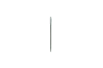 Needle isolated on white background.