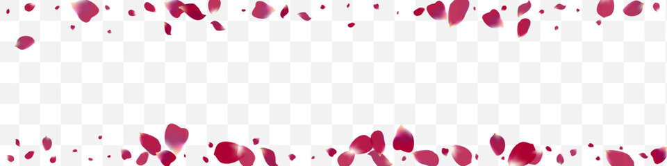 Delicate Rose Spring Vector Transparent Panoramic
