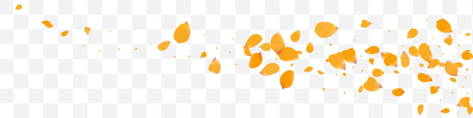 Yellow Peach Flying Vector Transparent Panoramic - obrazy, fototapety, plakaty