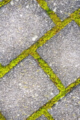 Pflastersteine mit bewachsenen Fugen - Hintergrund