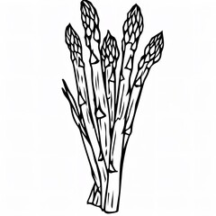 Simplicity in Nature: Minimalistic Full Body Line Art Vector of Asparagus