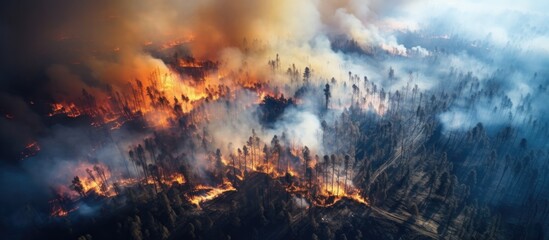 Fototapeta na wymiar Aerial wildfire in California is burning trees and dry grass in the forest.