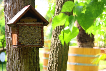 Bee hotel on the tree. Selective focus.