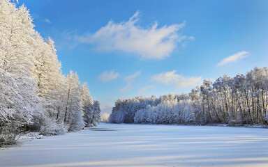 Winter landscape of a forest and a frozen lake against a blue sky.