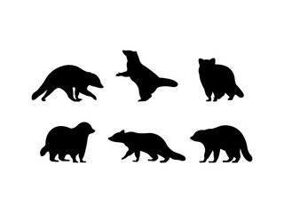 Set of Raccoon Silhouette in various poses isolated on white background