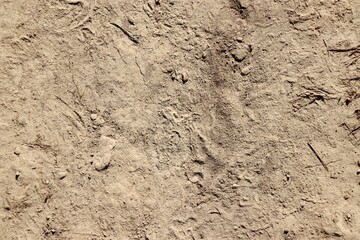 A close view of the hard dry dirt ground surface.