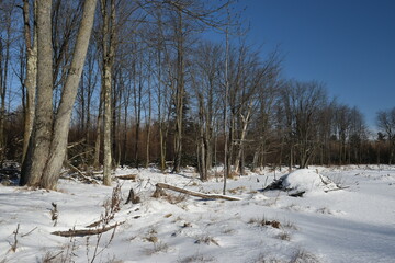 La Plaine 18 Janvier 2024