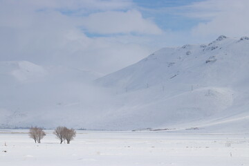 A peaceful winter landscape showcasing bare trees against a pristine snowfield with distant mountains under a calm blue sky.