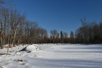 La Plaine 18 Janvier 2024
