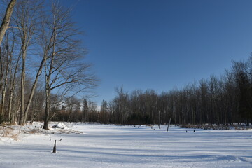 La Plaine 18 Janvier 2024