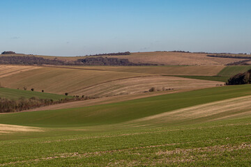 Fototapeta na wymiar A rural Sussex landscape with a blue sky overhead