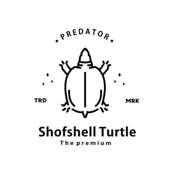 vintage retro hipster shofshell turtle logo vector outline monoline art icon	