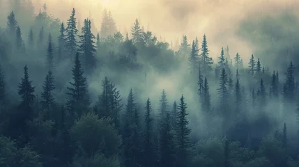 Fotobehang Mistig bos Serene Forest With Dense Fog Shrouding Tall
