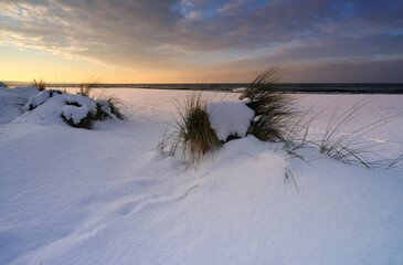 Zimowy krajobraz wybrzeża Morza Bałtyckiego - obrazy, fototapety, plakaty