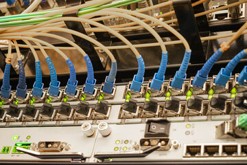 Many fiber optic wires are connected to the Internet switch ports.