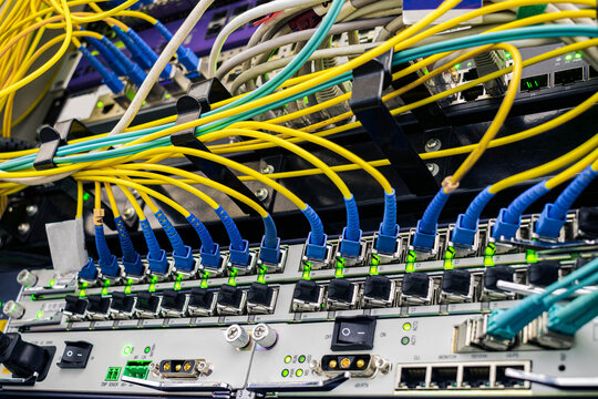 Many fiber optic wires are connected to the Internet switch ports.