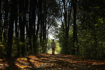 Young man in white shirt walking alone in the big dark green autumn forest. Photo was taken 23 September 2023 year, msk time. - 712694504