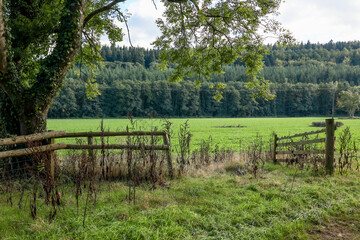Pasture fenced with a wooden fence, Dunster, Somerset, Exmoor.