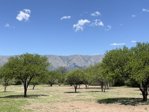 Monta&ntilde;as, Nubes y arboles: La tranquilidad del campo