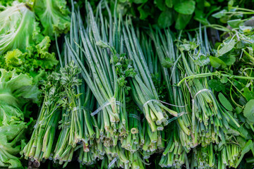 Fair, farmer's market, scallion  (green onion) - Feira, mercado de agricultores, cabolinha, Feira livre