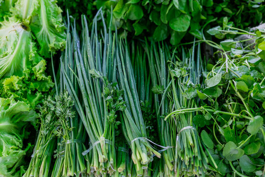 Fair, farmer's market, scallion  (green onion) -  cebolinha verde na banca da feira