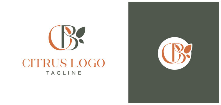 OB Letters Citrus Logo and Icon
