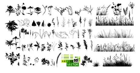 Fotobehang A set of blades of grass. hand drawing. Not AI. Vector illustration © Мария Неноглядова