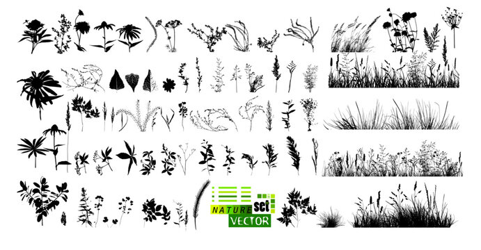 A set of blades of grass. hand drawing. Not AI. Vector illustration