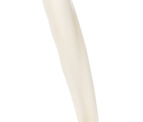 Pouring tasty fresh milk, closeup. Dairy product