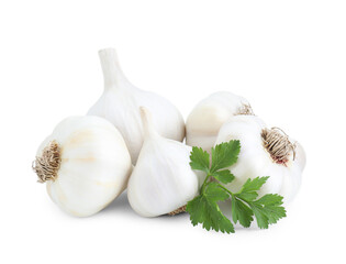 Fresh garlic heads and parsley isolated on white