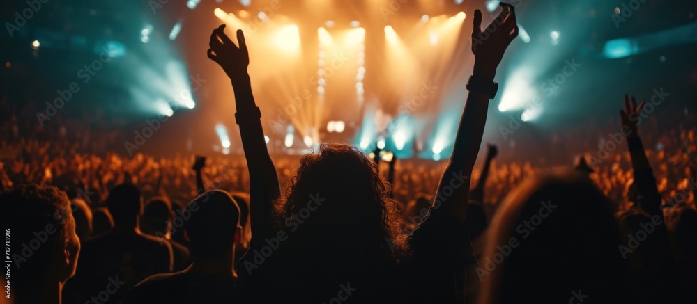 Wall mural an image of an audience in a concert