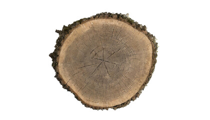 Cross section of tree trunk with annual rings, isolated on transparent background