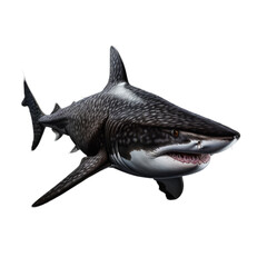 Full Body Shark Isolated on Transparent Background - High-Resolution Image