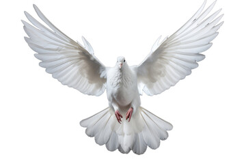 Graceful White Dove Isolated on Transparent Background - Peace Symbol Illustration