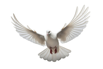 Peaceful White Dove Isolated on Transparent Background - Royalty-Free Image