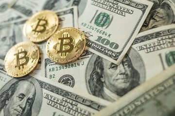 Dollars and bitcoin in different variations.